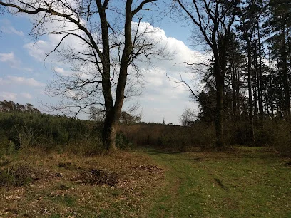 Punkt widokowy przy trasie Żerków–Śmiełów (Brzostków)